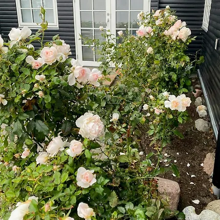 Nyaraló Breathtaking Sea View At Dinestrup Ullerslev